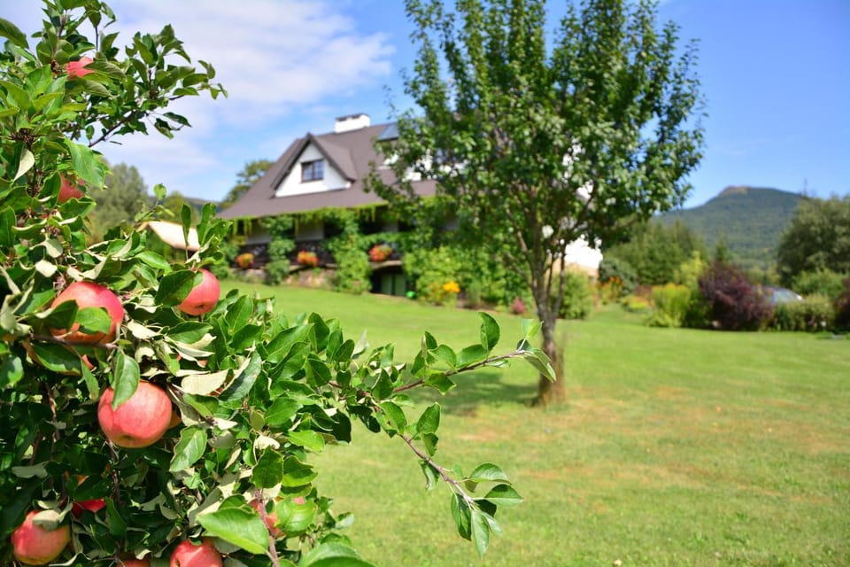 Garden, Garden view