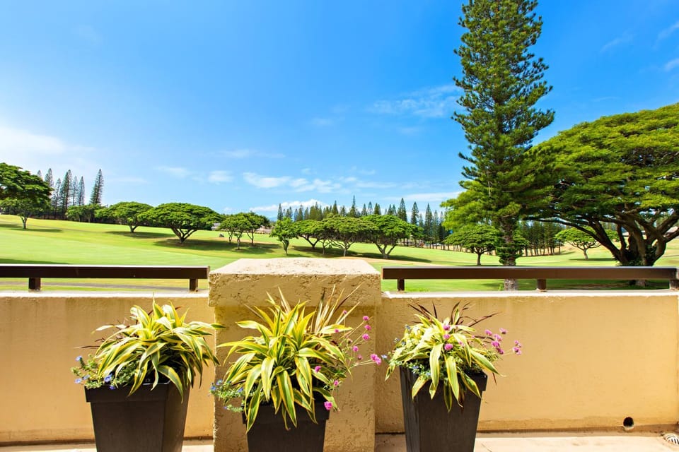 Kapalua Golf Villa 15T 78 Apartment in Kapalua
