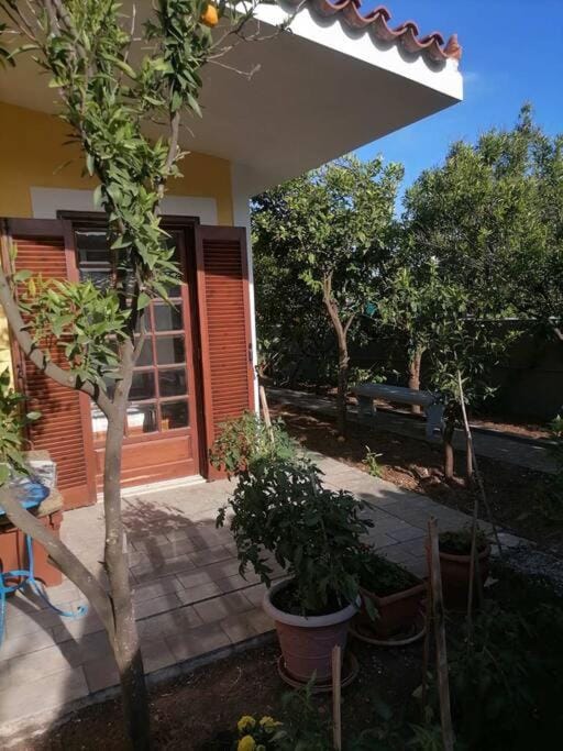 Sounio , Garden house Apartment in East Attica Regional Unit, Greece