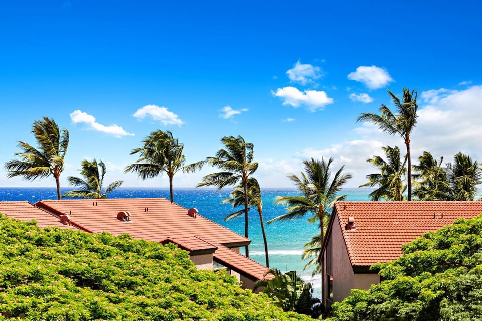 Kaanapali Shores 610 Apartment in Kaanapali