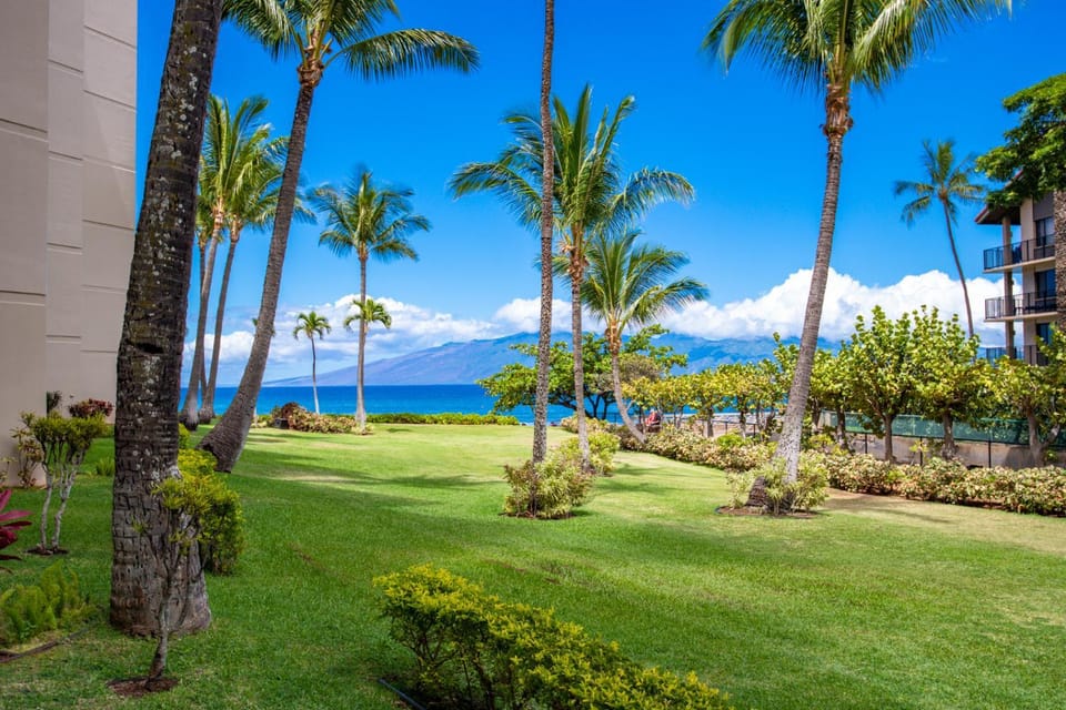Kaanapali Shores 110 Apartment in Kaanapali