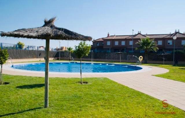 Garden, Swimming pool