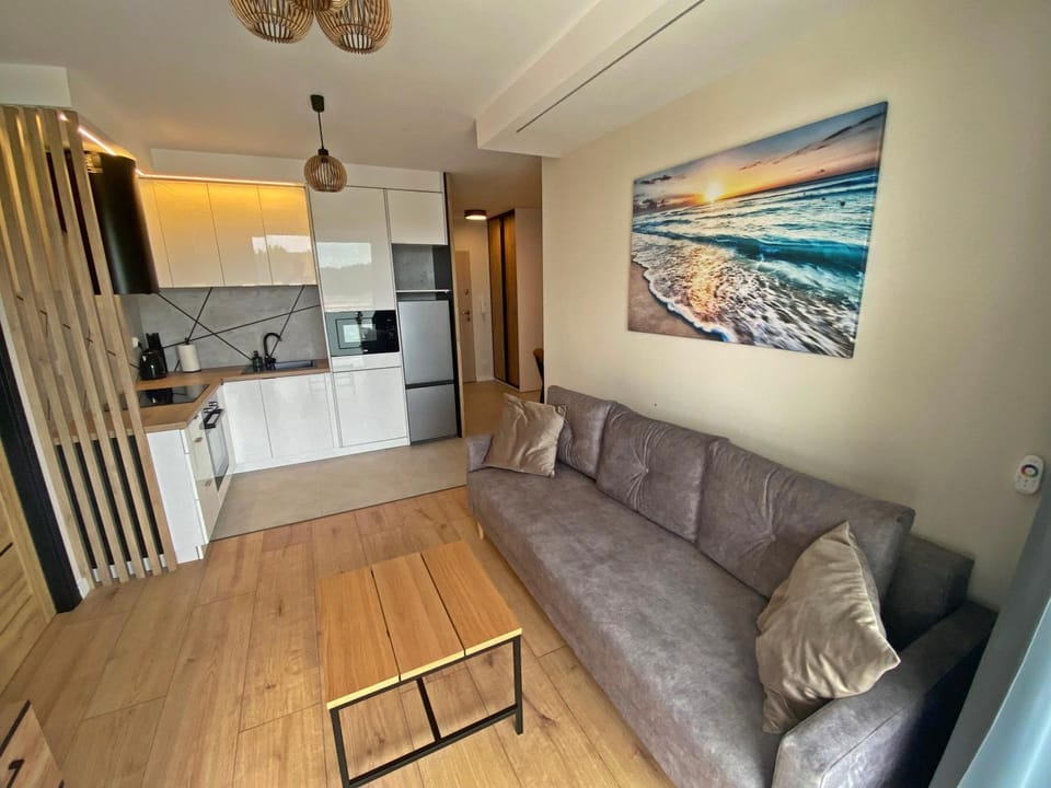 Kitchen or kitchenette, Living room, Seating area