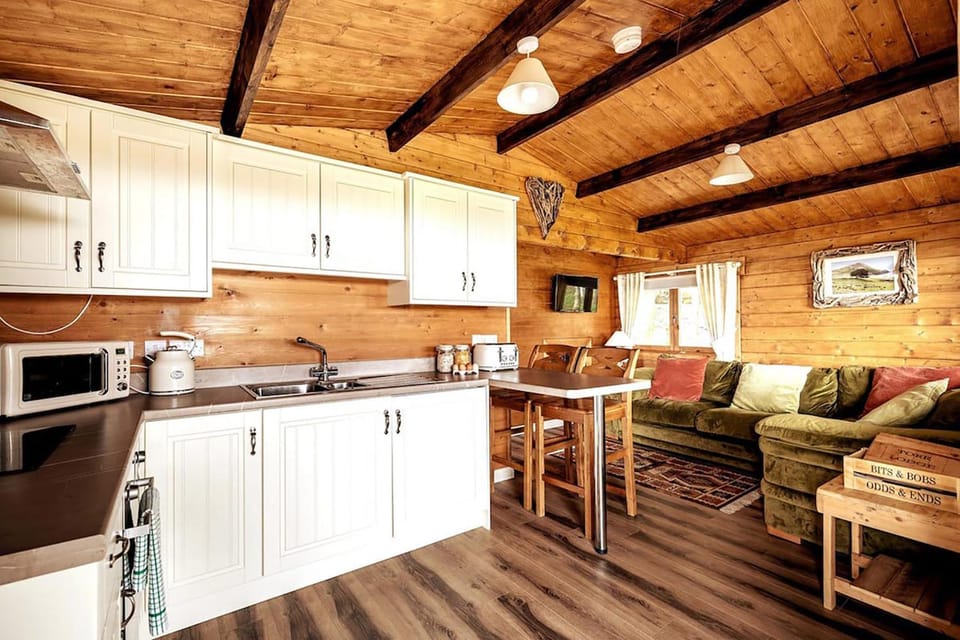 Torr Lodge- luxury log cabin with private hot tub! Cabin in Northern Ireland