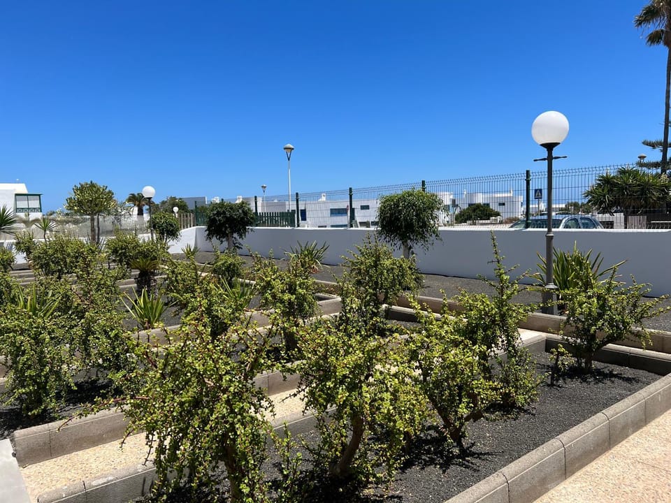 Day, Garden, Garden view