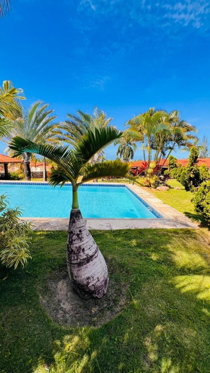 Garden, Pool view