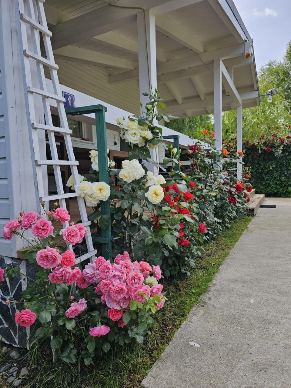 Property building, Spring, Day, Garden, Garden view