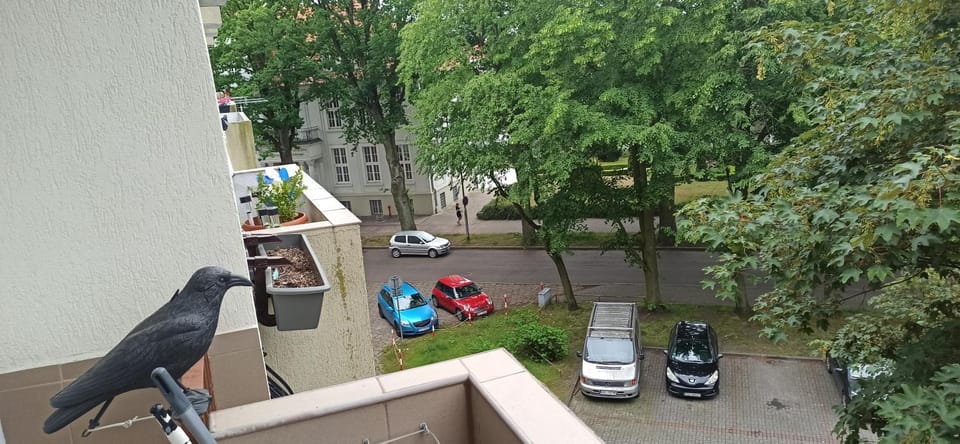 Cichy Zakątek Kołobrzeg Apartment in West Pomeranian Voivodeship, Poland