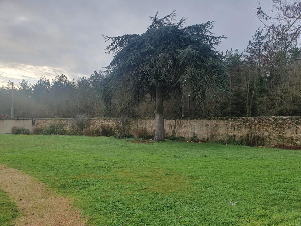 Natural landscape, Garden