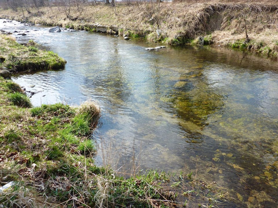 River view