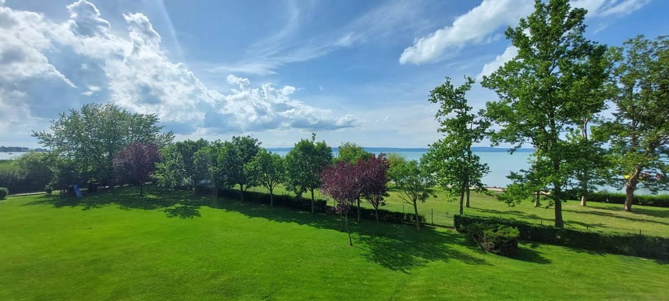 Lake view