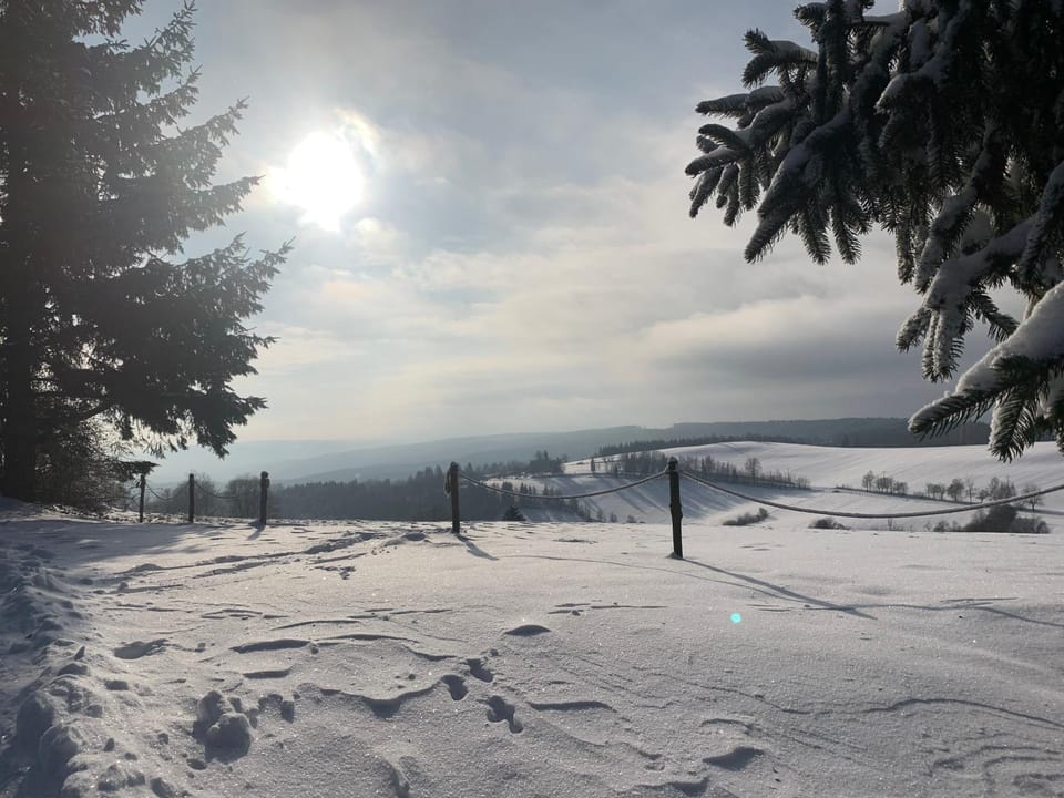 Penzion Gansberg Inn in Czechia