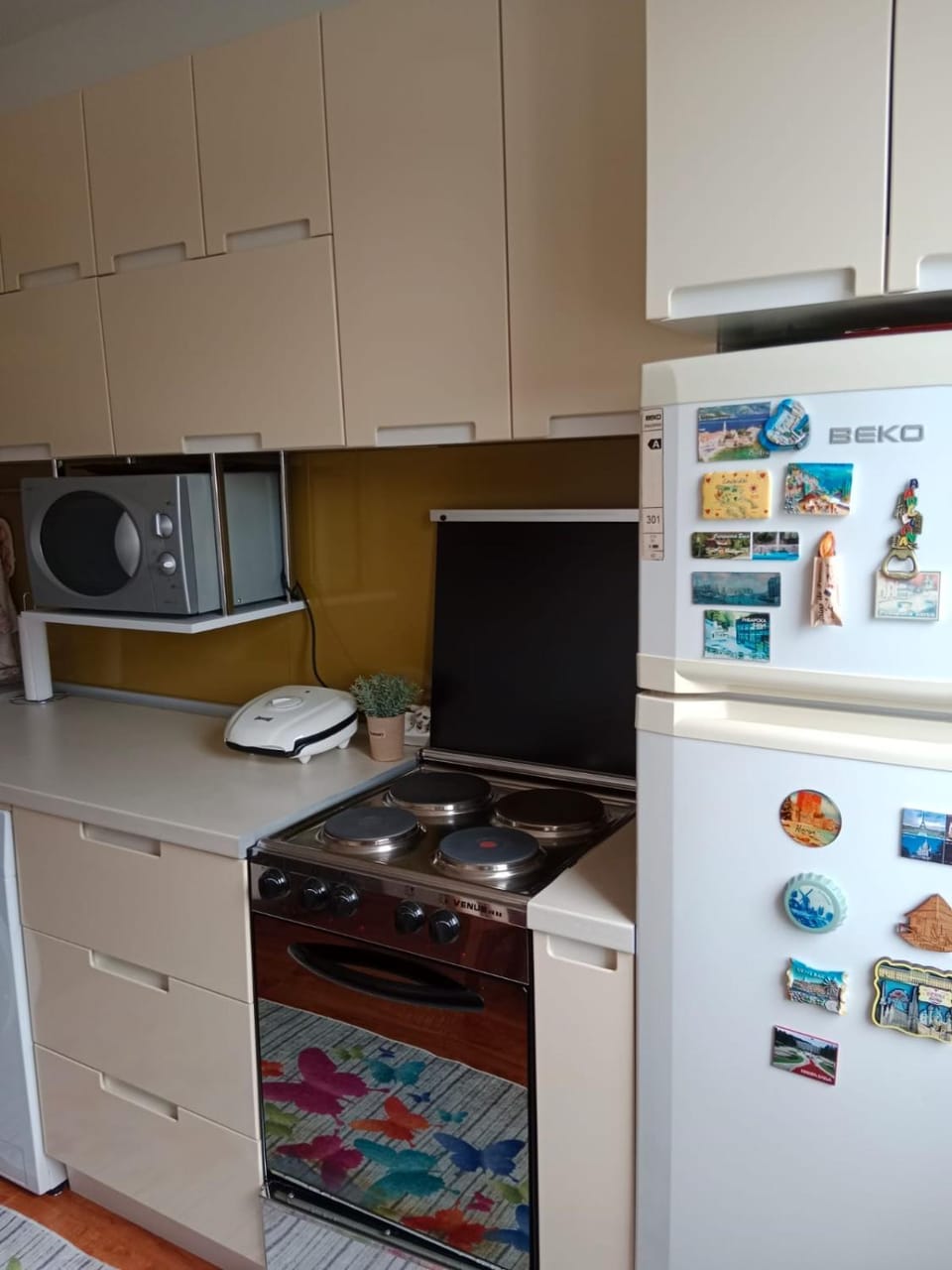 Kitchen or kitchenette, pet friendly