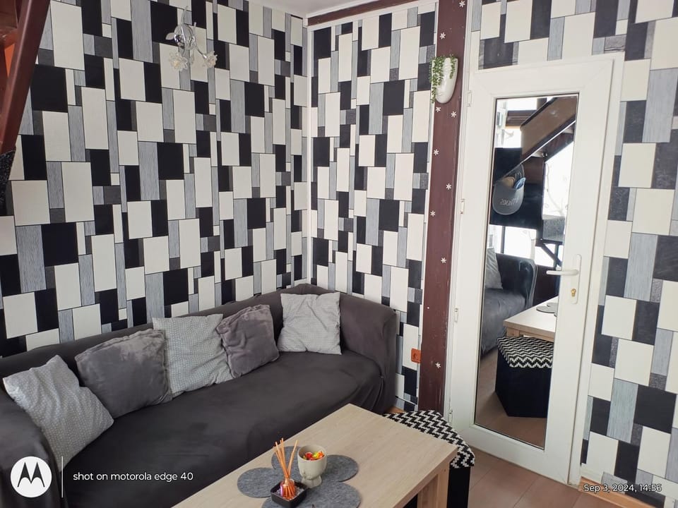 elefant Apartment in Romania