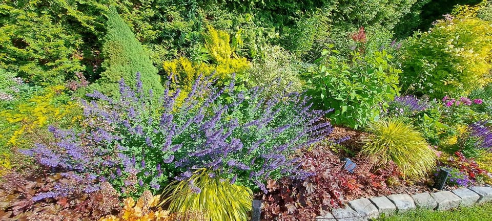 Dom Gościnny Oliwka Vacation rental in West Pomeranian Voivodeship, Poland