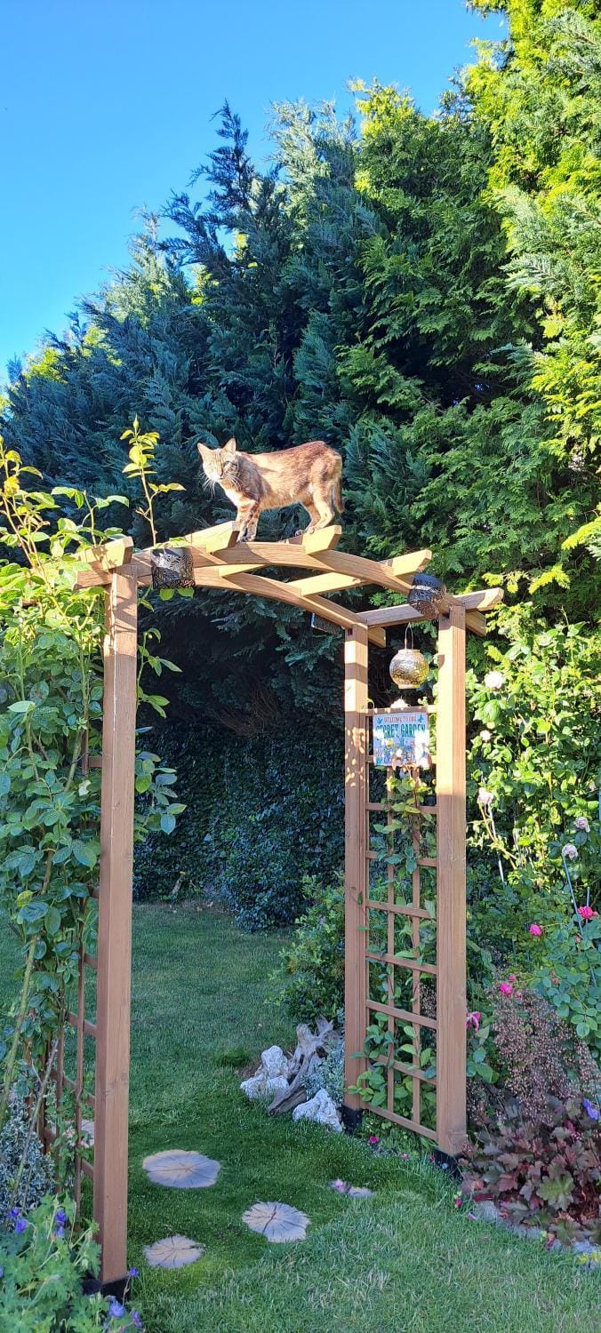 Dom Gościnny Oliwka Vacation rental in West Pomeranian Voivodeship, Poland