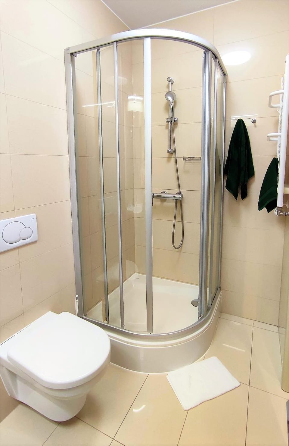 Shower, Toilet, Bathroom, towels