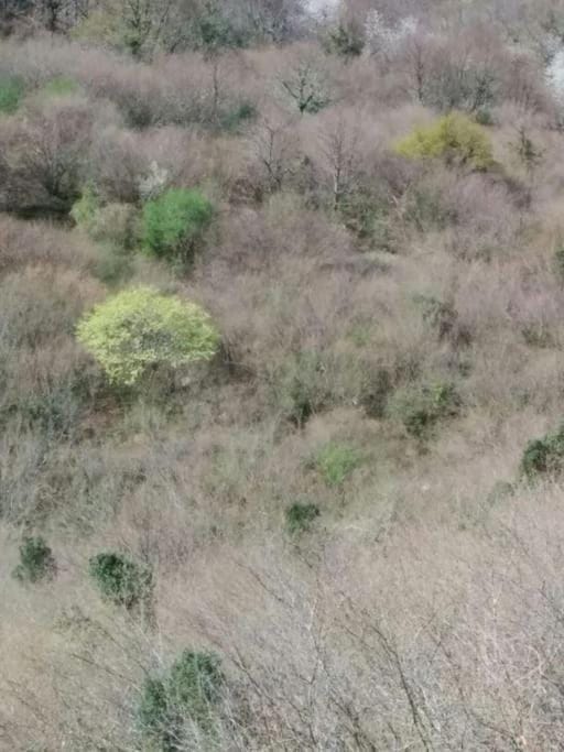 Casa La Parra House in Asturias