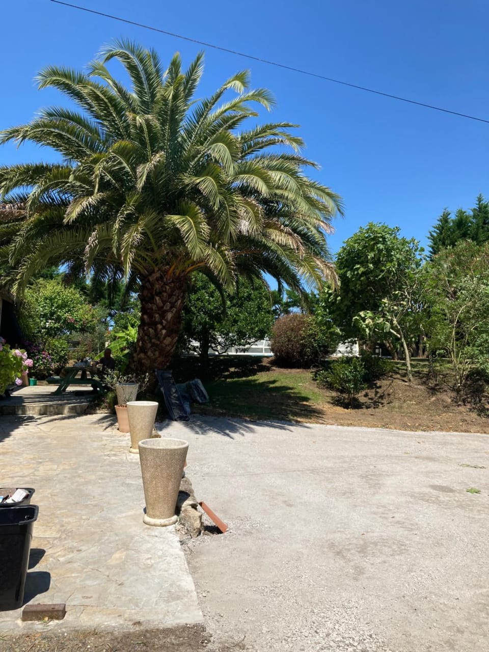 Garden view