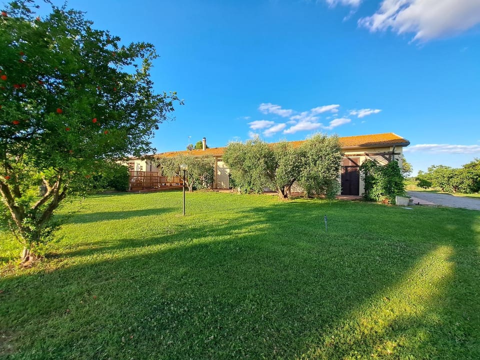 Property building, Garden, Garden, Garden view