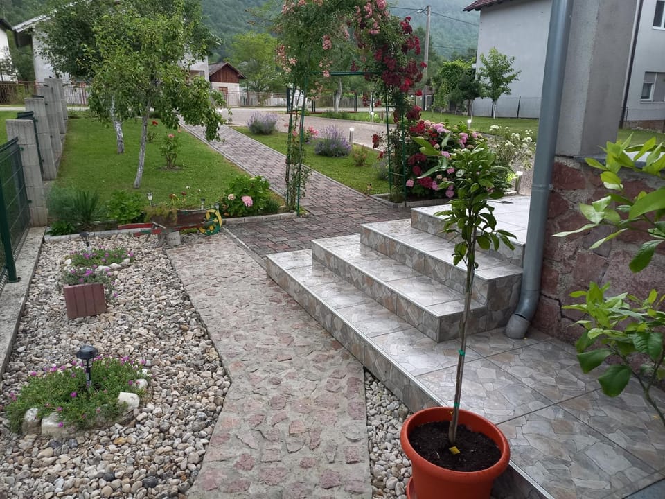 Garden view
