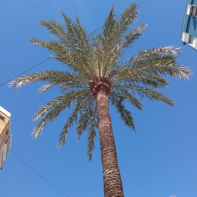 Mar y castillo Apartment in Cullera