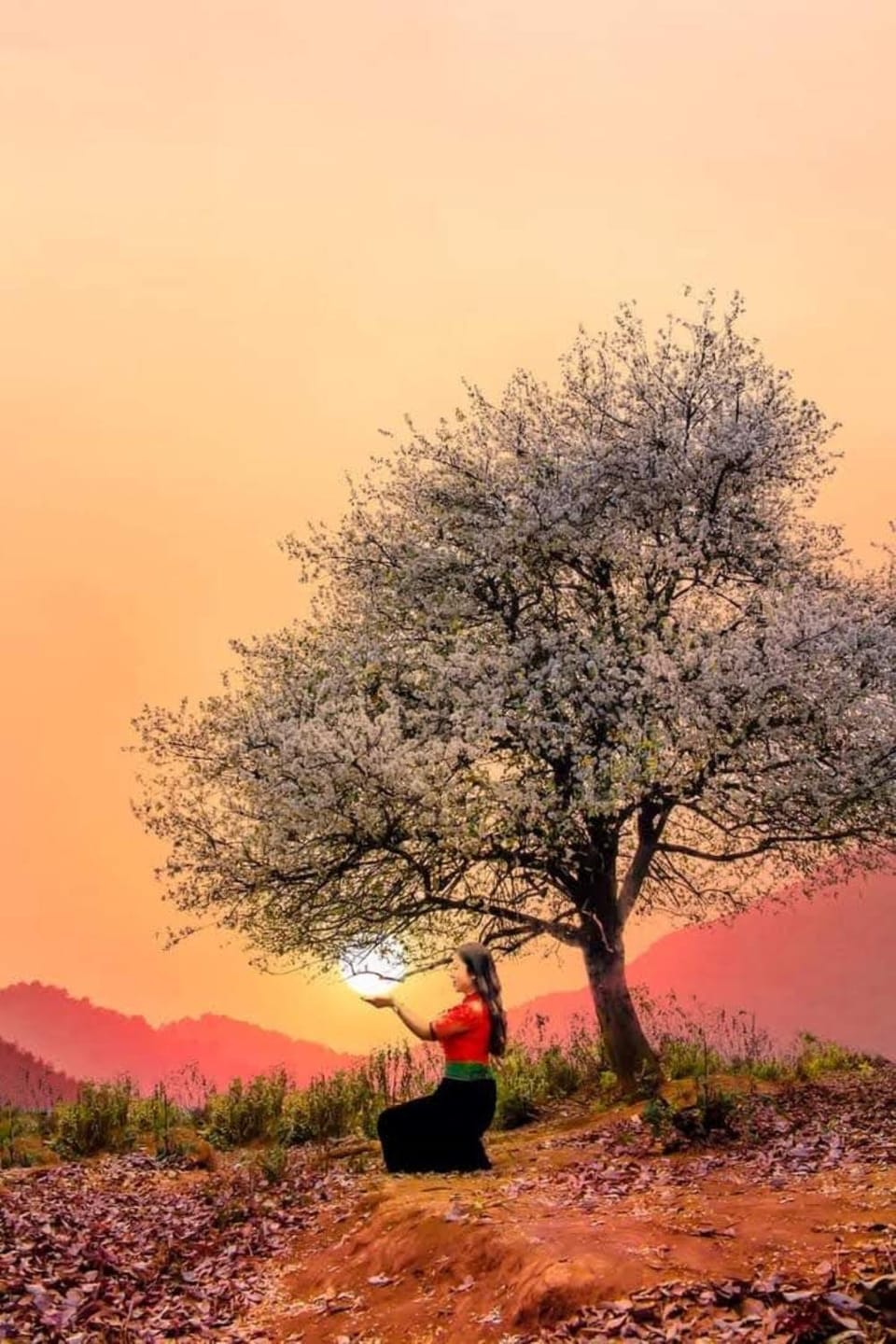 Natural landscape