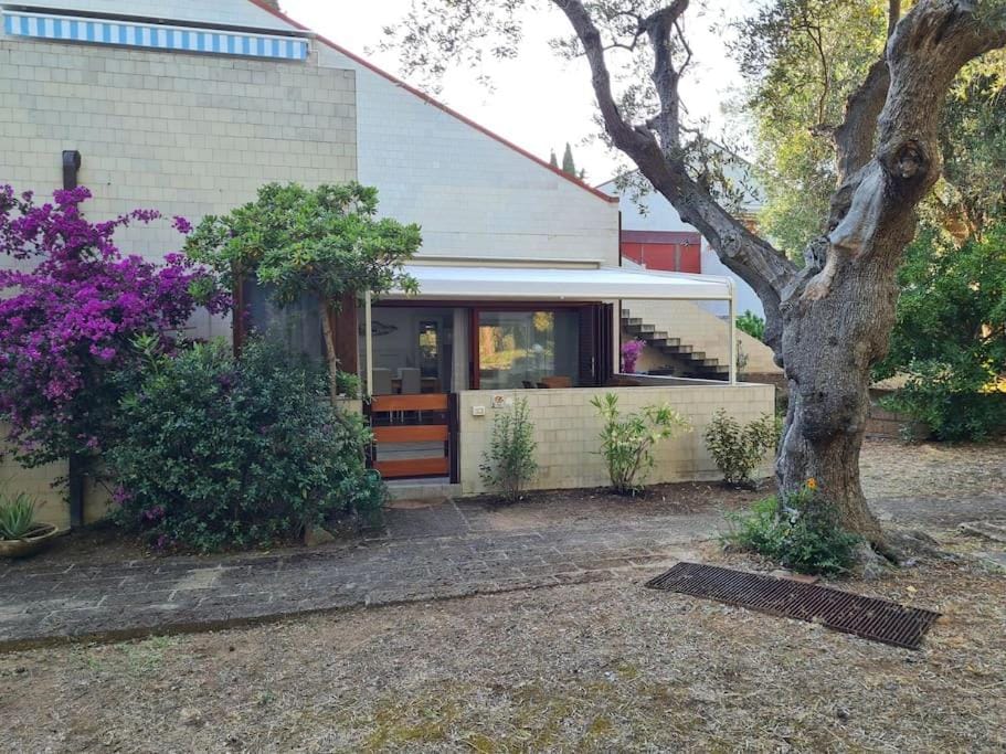 Casa Vacanze Mare, Sole e Relax House in Castiglione della Pescaia