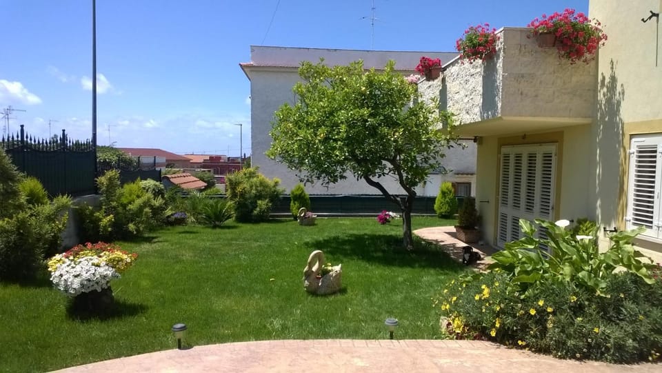 Garden view