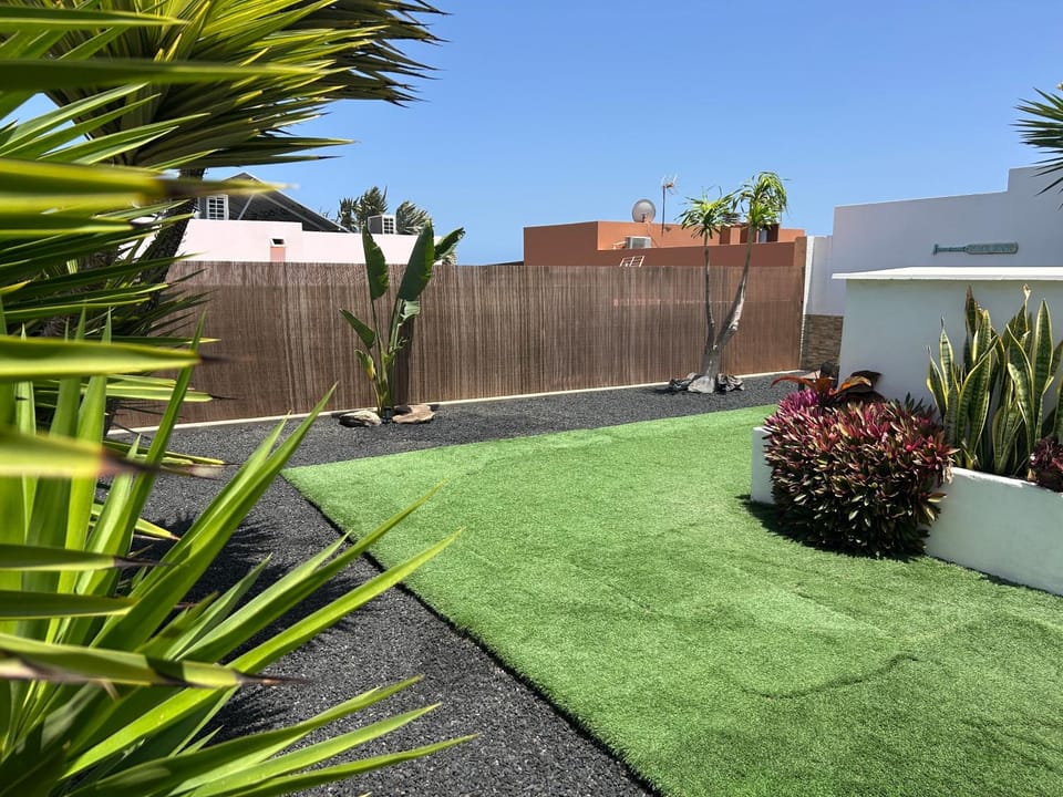 Spring, Day, Garden, Garden view