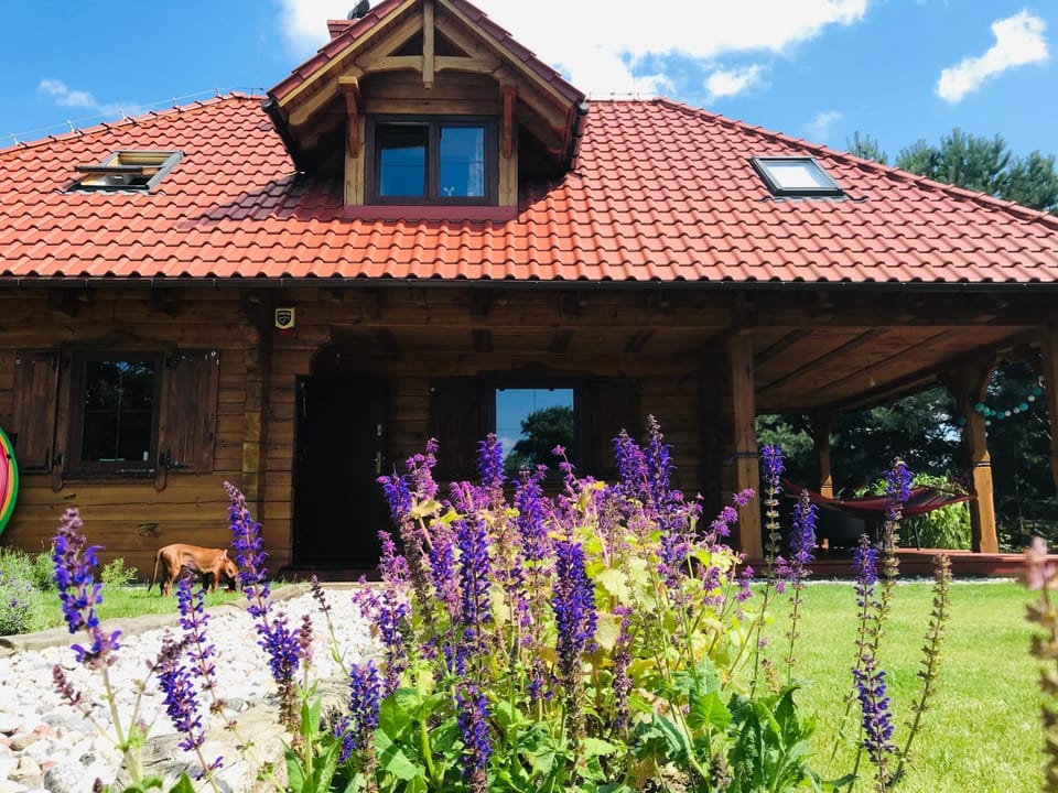 Property building, Day, Summer, Garden