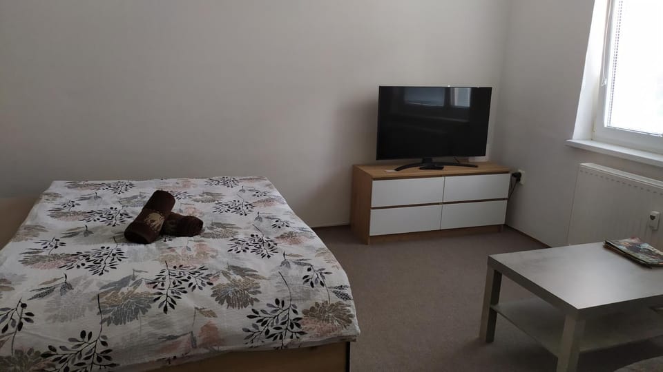 BYT POD ZÁMKEM Apartment in South Moravian Region