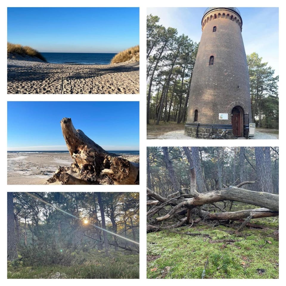 Swojskie Chatki - Leśna Chatka House in Pomeranian Voivodeship