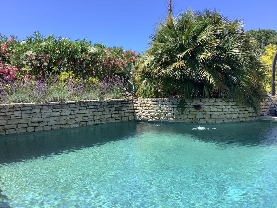 Garden, Pool view, Swimming pool