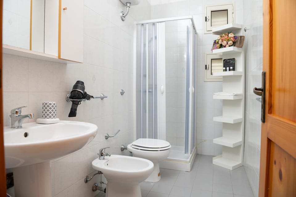 Shower, Toilet, Bathroom, bidet, hair dryier