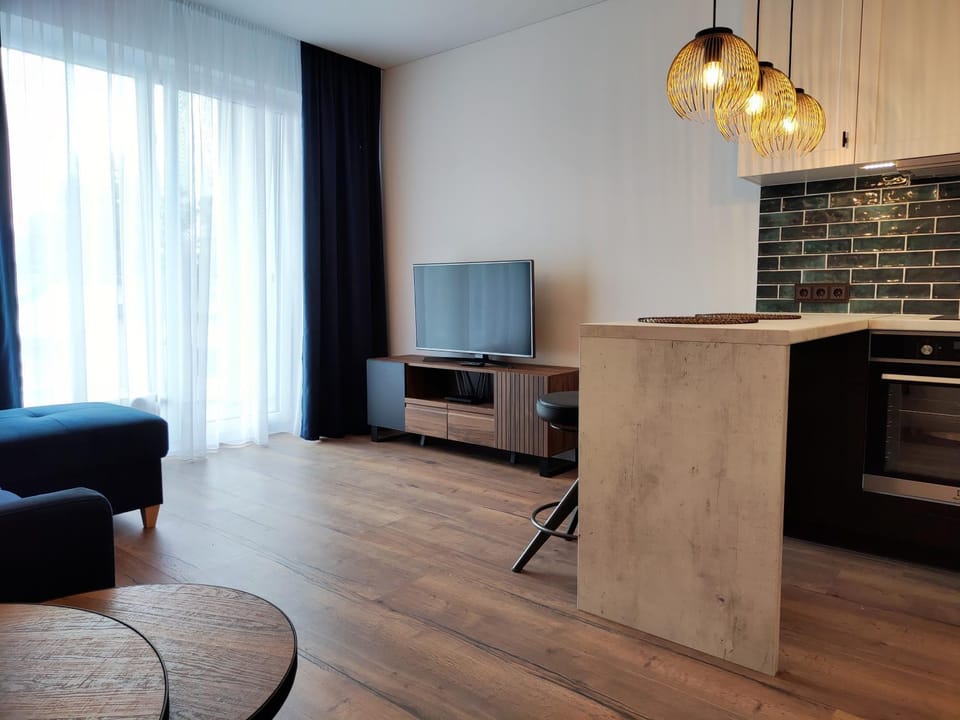 Communal lounge/ TV room, TV and multimedia, Kitchen or kitchenette, Living room, Seating area