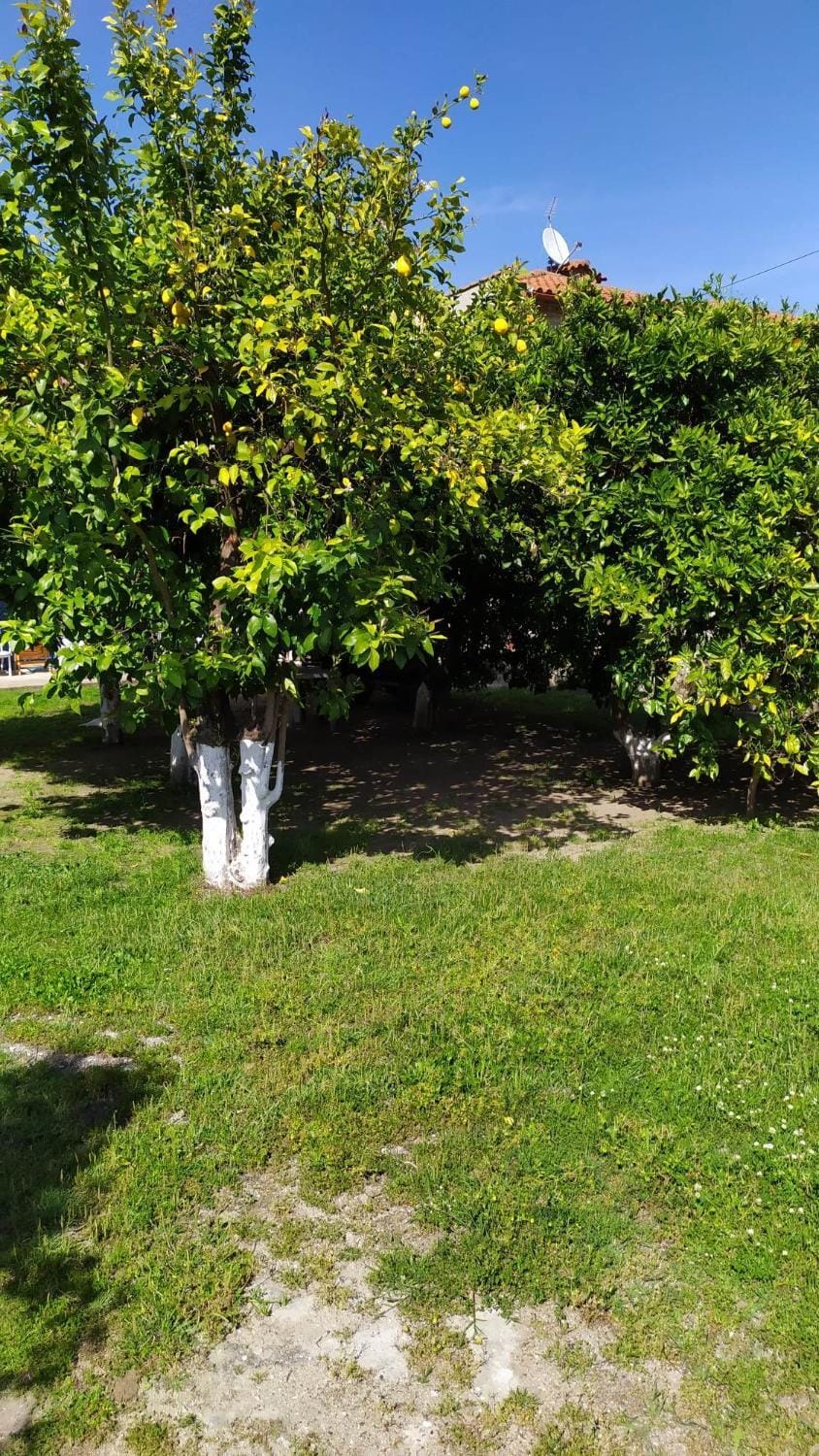 Garden, Garden view