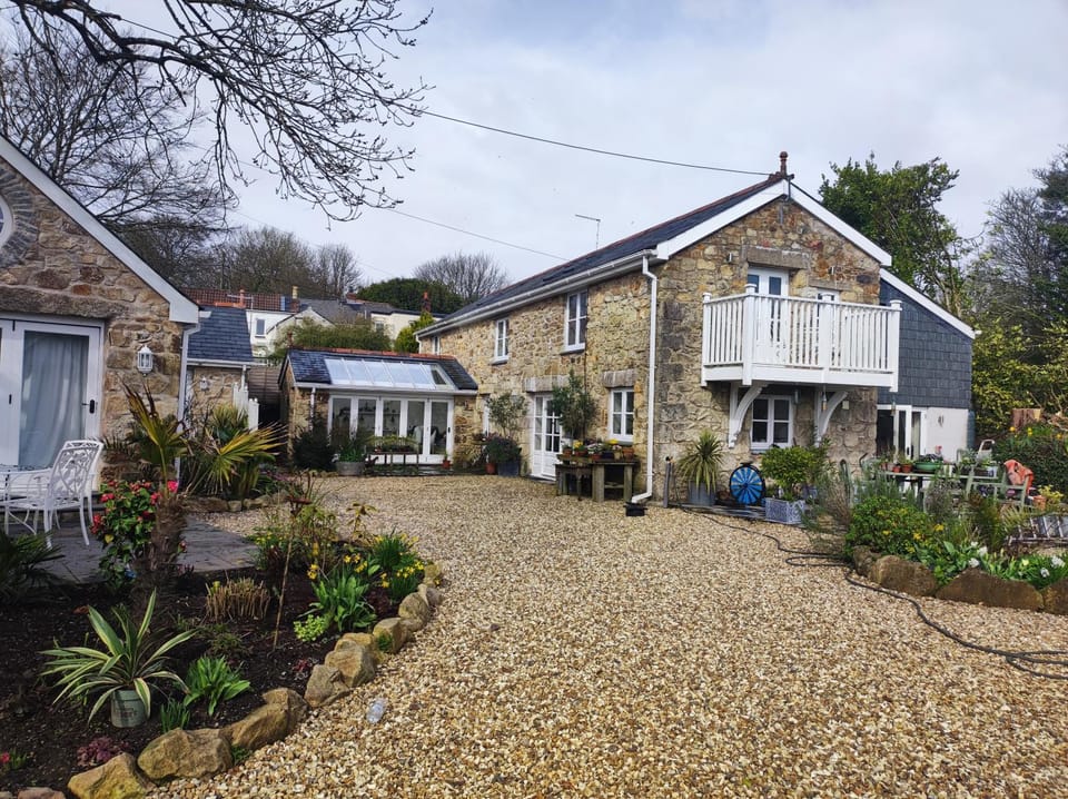 Tree Fern Barn House in England