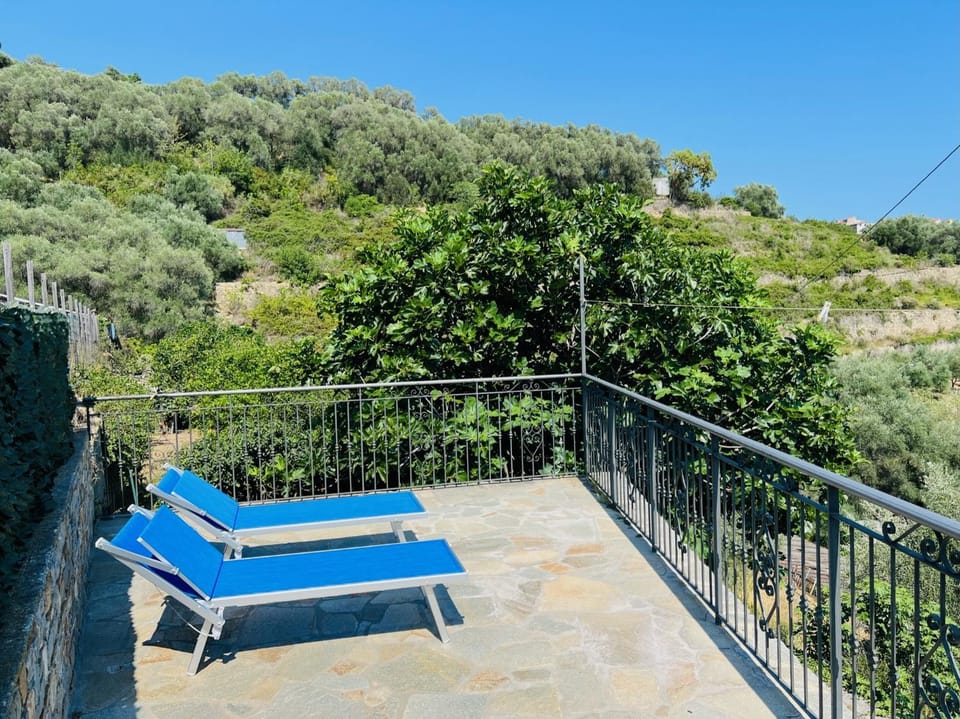 Garden, Balcony/Terrace
