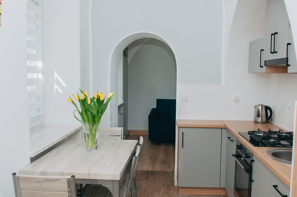 Kitchen or kitchenette, dishwasher, stove