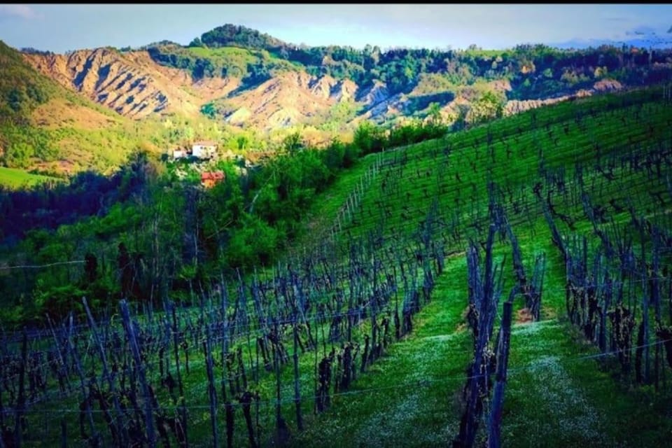 Monteombraro Relax Apartment in Emilia-Romagna