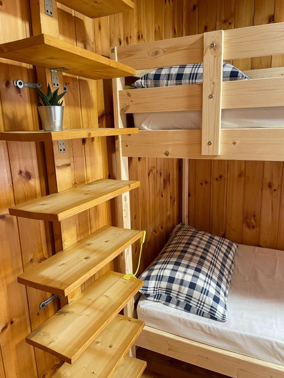 Bed, Photo of the whole room, Bedroom, bunk bed