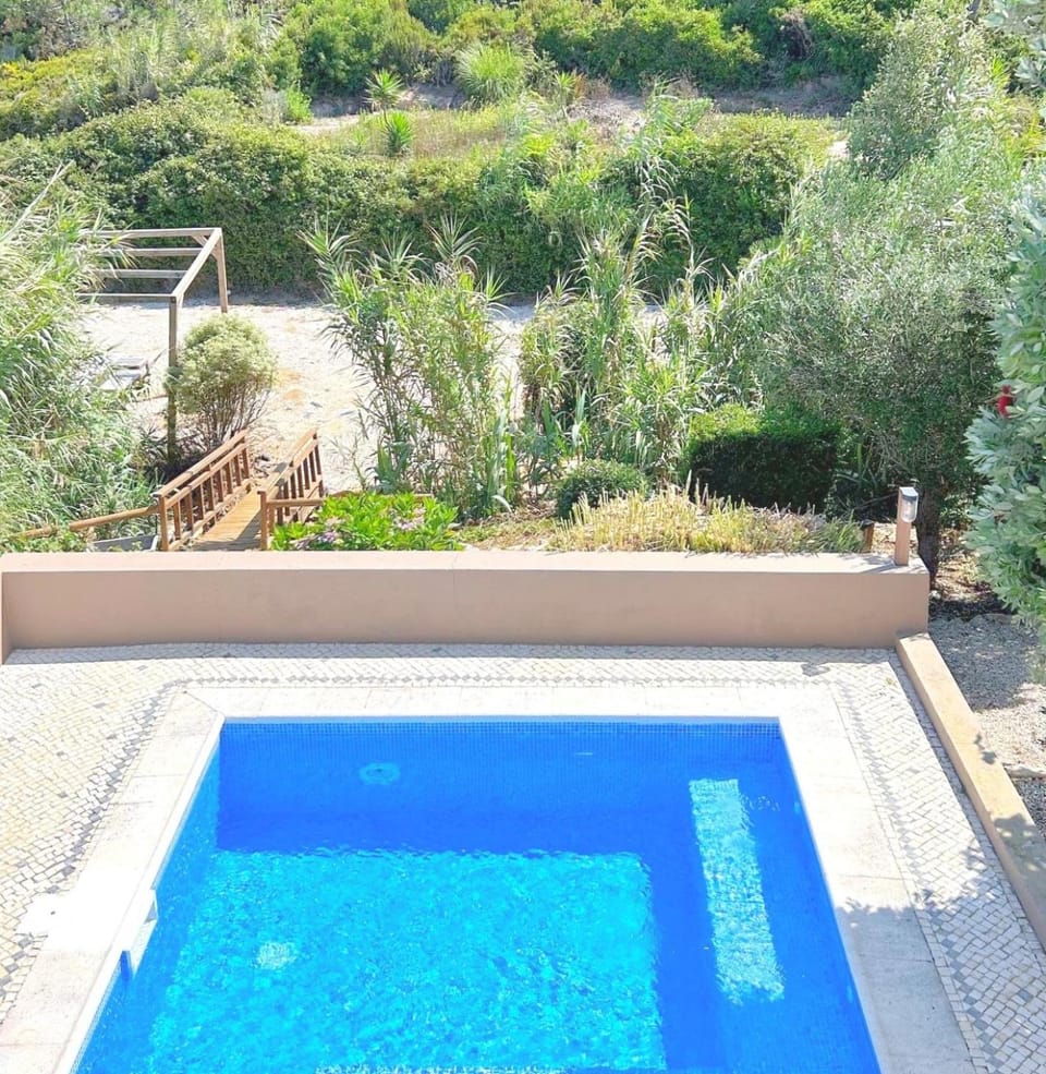 Spring, Day, Garden, Garden view, Pool view, Swimming pool, sunbed