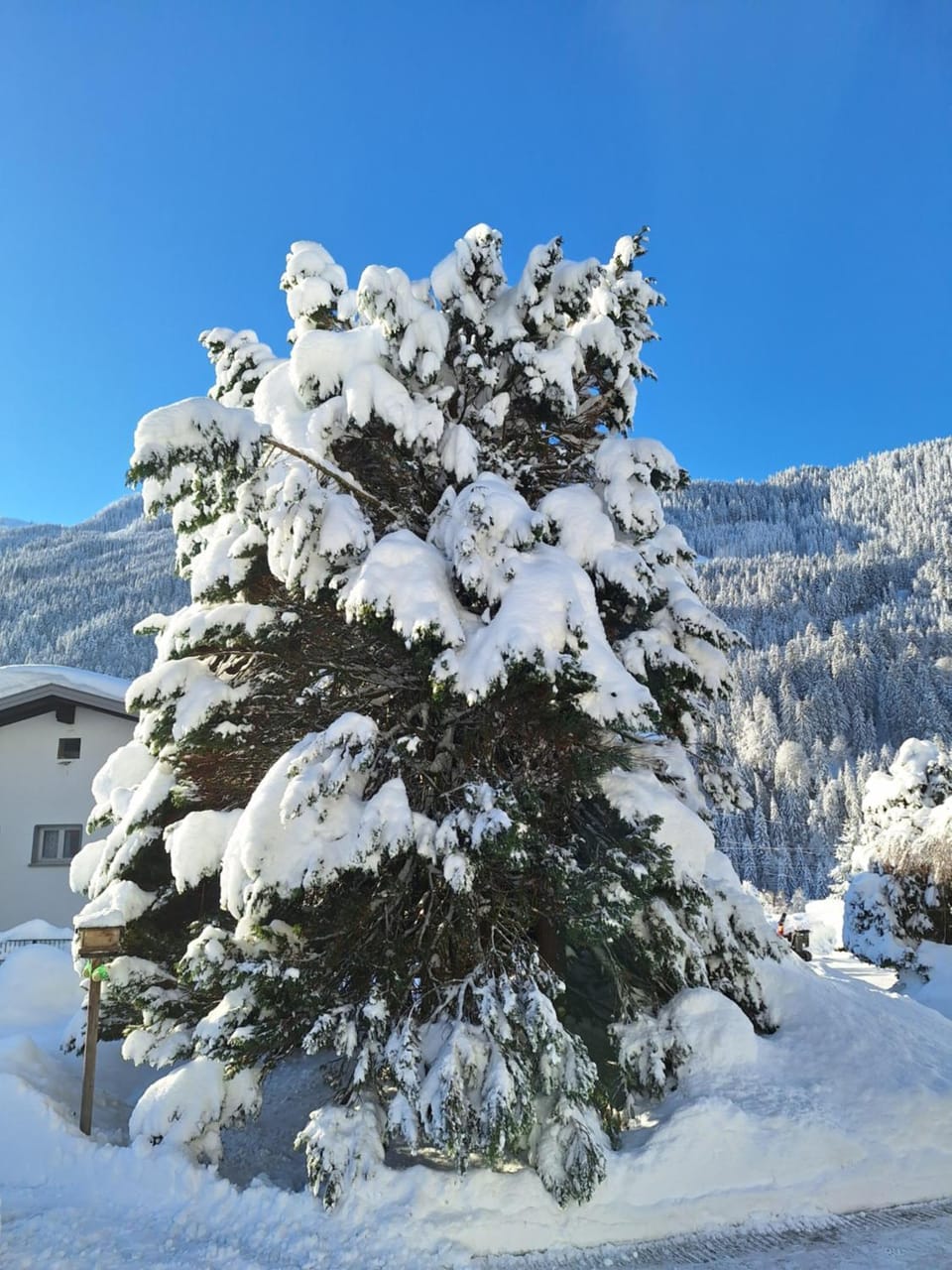 Natural landscape, Winter