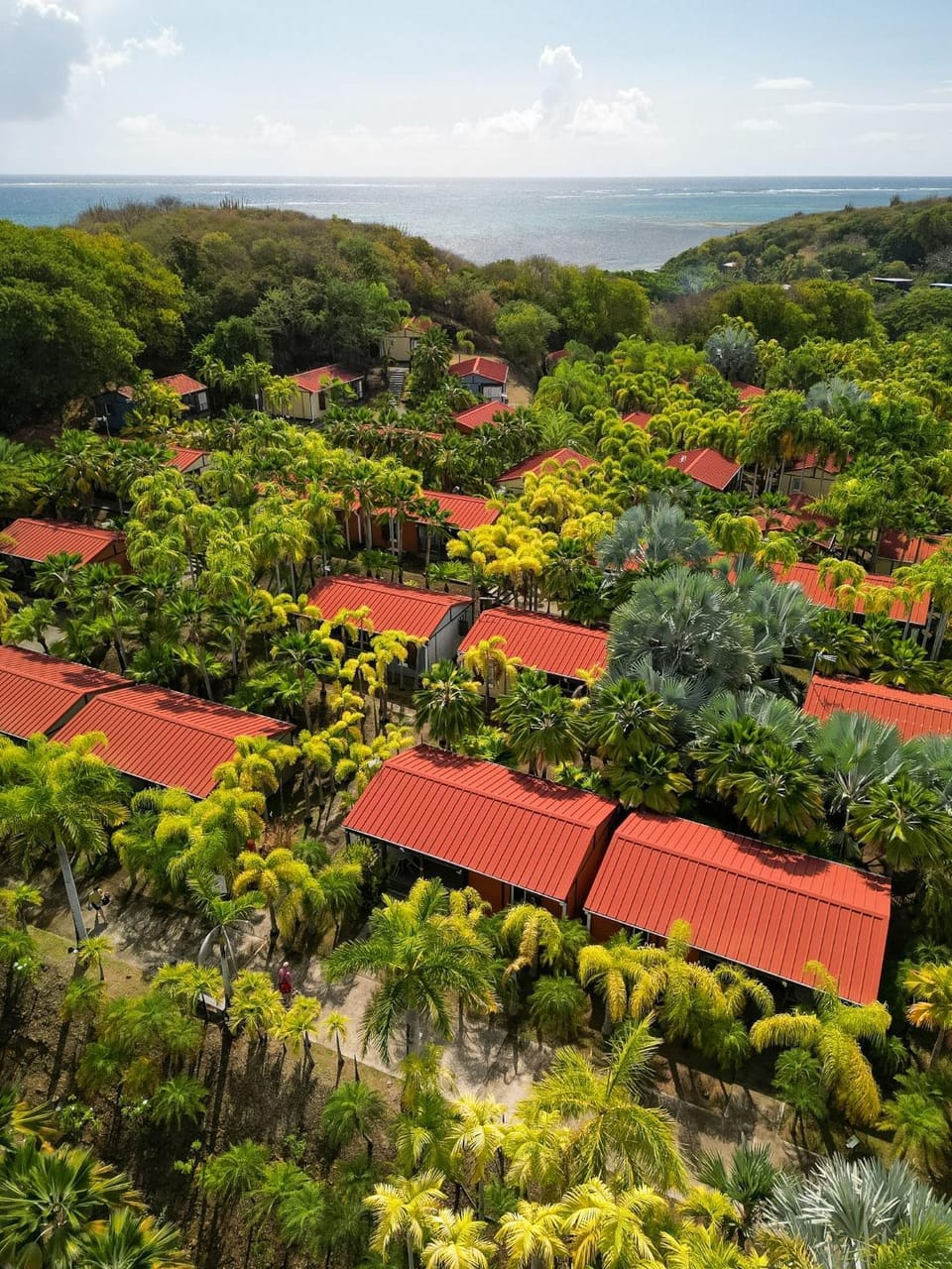 Bird's eye view, Garden view, Garden view