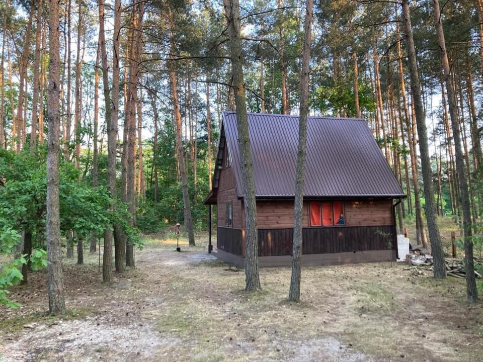 Property building, Natural landscape, Garden view