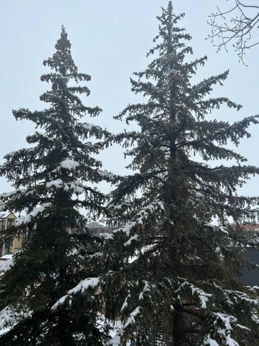 Newly Renovated Park City Gem Apartment in Park City