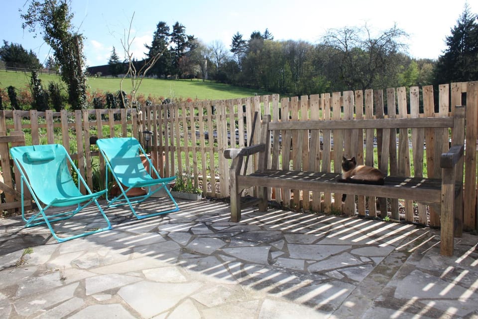 Patio, Garden, sunbed