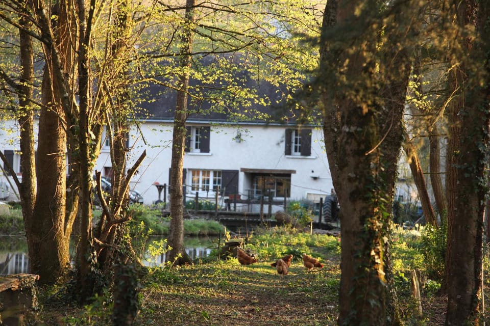 Property building, Garden, Garden, River view