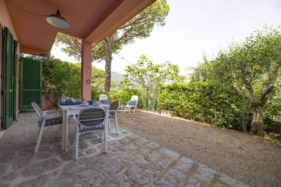 Property building, Patio, Garden, Garden view